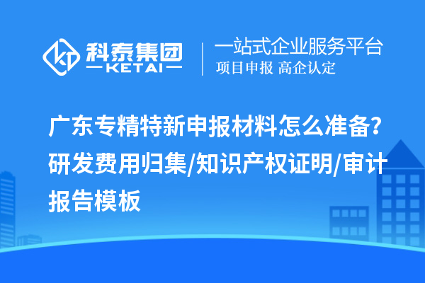 廣東專精特新申報材料怎么準(zhǔn)備？研發(fā)費用歸集/知識產(chǎn)權(quán)證明/審計報告模板