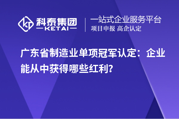 廣東省制造業(yè)單項冠軍認(rèn)定：企業(yè)能從中獲得哪些紅利？