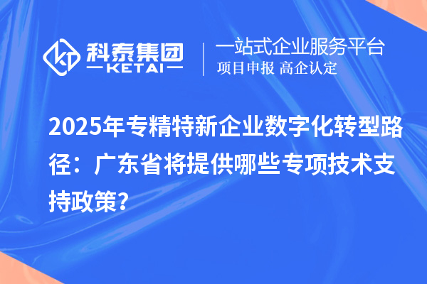 2025年專精特新企業(yè)數(shù)字化轉(zhuǎn)型路徑：廣東省將提供哪些專項技術(shù)支持政策？