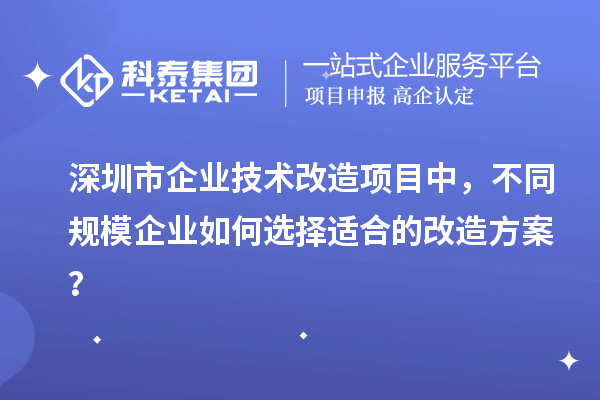 深圳市企業(yè)技術(shù)改造項(xiàng)目中，不同規(guī)模企業(yè)如何選擇適合的改造方案？