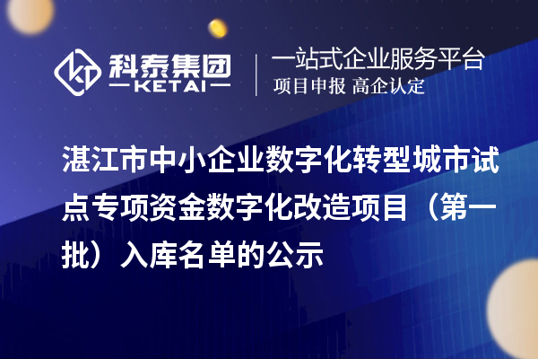 湛江市中小企業(yè)數字化轉型城市試點專項資金數字化改造項目（第一批）入庫名單的公示