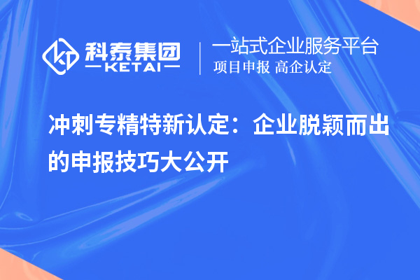 沖刺專精特新企業(yè)：企業(yè)脫穎而出的申報(bào)技巧大公開