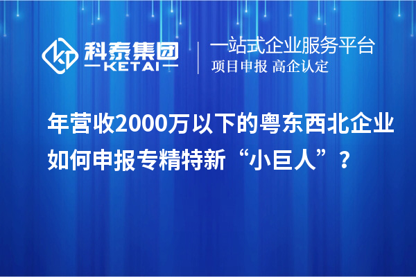 年?duì)I收2000萬以下的粵東西北企業(yè)如何申報(bào)專精特新“小巨人”？