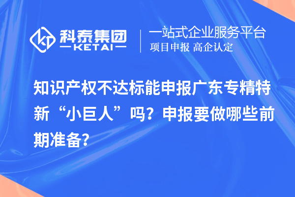 知識產(chǎn)權(quán)不達標(biāo)能申報廣東專精特新“小巨人”嗎？申報要做哪些前期準(zhǔn)備？
