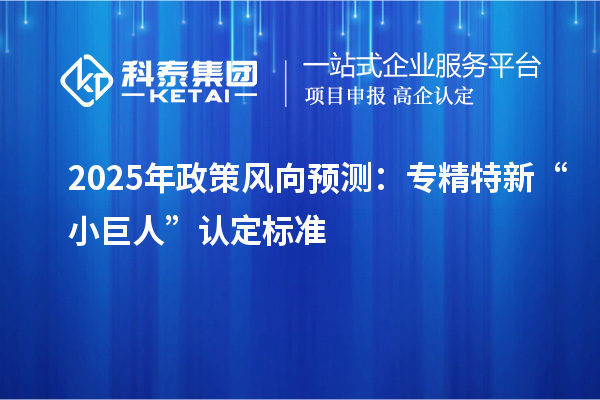 2025年政策風(fēng)向預(yù)測：專精特新“小巨人”認定標(biāo)準(zhǔn)