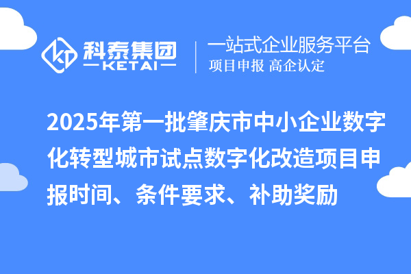 2025年第一批肇慶市中小企業(yè)數(shù)字化轉(zhuǎn)型城市試點(diǎn)數(shù)字化改造項(xiàng)目申報(bào)時(shí)間、條件要求、補(bǔ)助獎勵