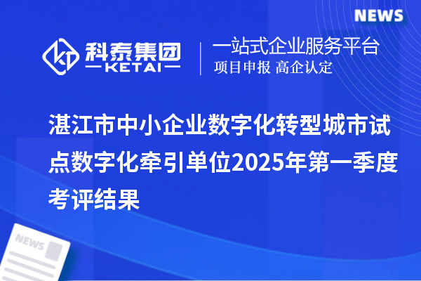 湛江市中小企業(yè)數(shù)字化轉(zhuǎn)型城市試點數(shù)字化牽引單位2025年第一季度考評結(jié)果