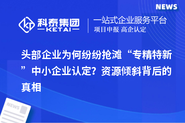 頭部企業(yè)為何紛紛搶灘“專精特新”中小企業(yè)認定？資源傾斜背后的真相