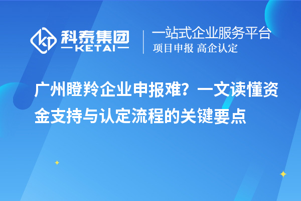 廣州瞪羚企業(yè)申報難？一文讀懂資金支持與認定流程的關鍵要點