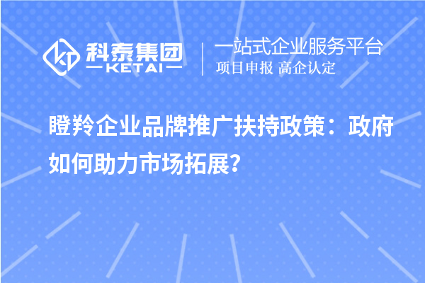 瞪羚企業(yè)品牌推廣扶持政策：政府如何助力市場拓展？