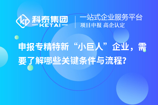 申報(bào)專精特新“小巨人”企業(yè)，需要了解哪些關(guān)鍵條件與流程？