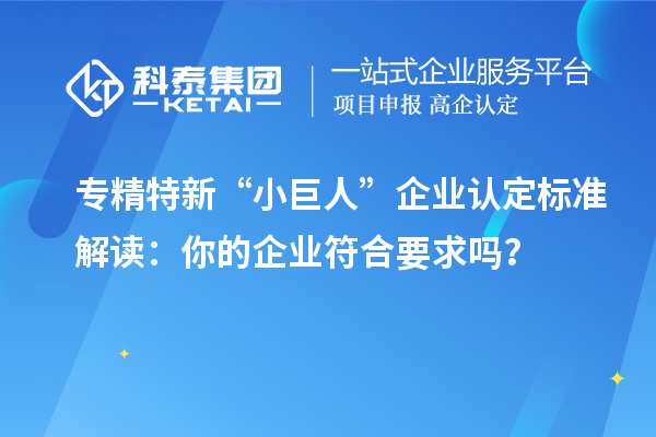 專精特新“小巨人”企業(yè)認(rèn)定標(biāo)準(zhǔn)解讀：你的企業(yè)符合要求嗎？
