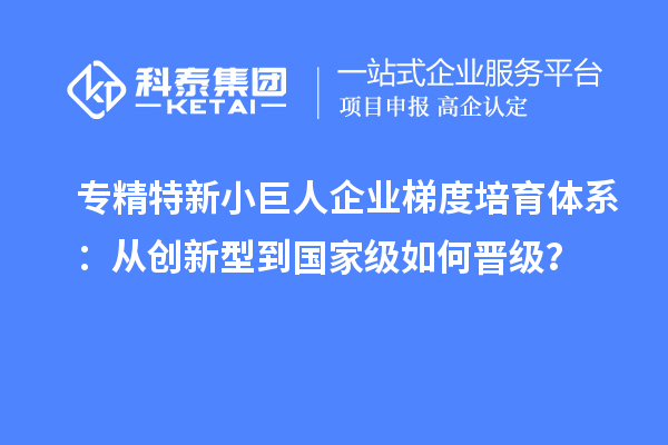 專精特新小巨人企業(yè)梯度培育體系：從創(chuàng)新型到國家級(jí)如何晉級(jí)？