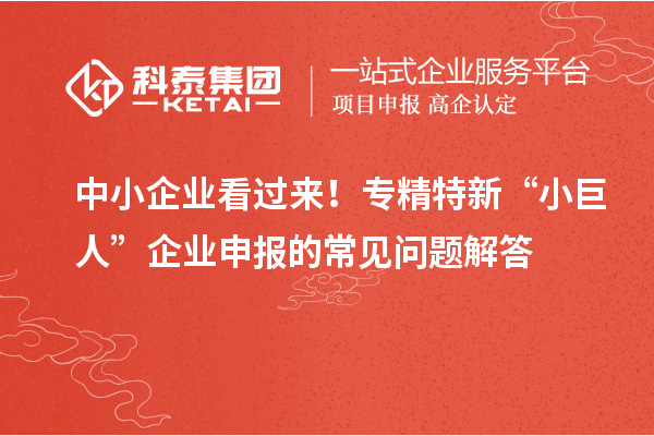 中小企業(yè)看過來！專精特新 “小巨人” 企業(yè)申報的常見問題解答