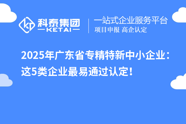 2025年廣東省專精特新中小企業(yè)：這5類企業(yè)最易通過認定！