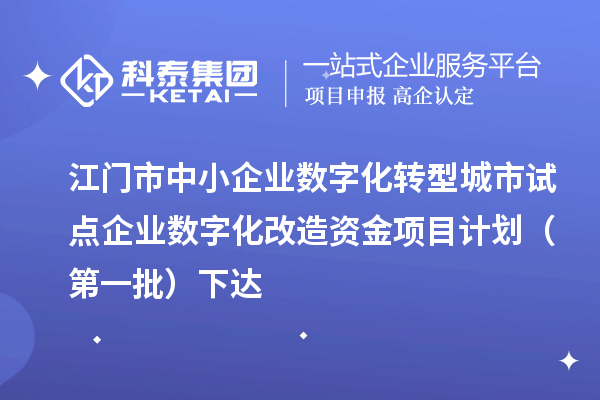 江門市中小企業(yè)數(shù)字化轉型城市試點企業(yè)數(shù)字化改造資金項目計劃（第一批）下達