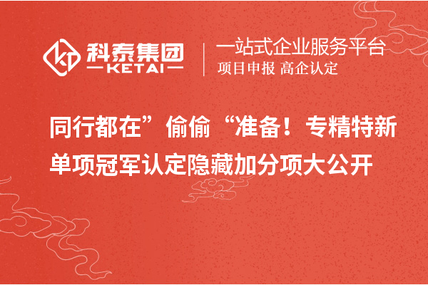同行都在” 偷偷 “準(zhǔn)備！專精特新單項(xiàng)冠軍認(rèn)定隱藏加分項(xiàng)大公開(kāi)