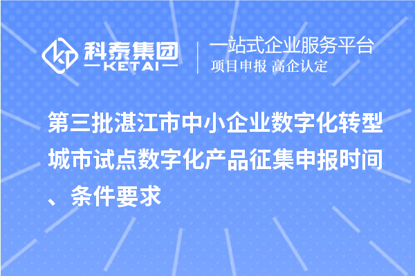第三批湛江市中小企業(yè)數(shù)字化轉(zhuǎn)型城市試點(diǎn)數(shù)字化產(chǎn)品征集申報(bào)時(shí)間、條件要求