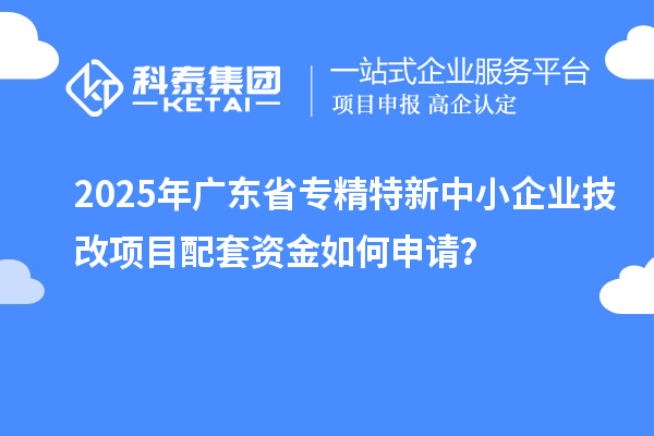 2025年廣東省專精特新中小企業(yè)技改項(xiàng)目配套資金如何申請(qǐng)？