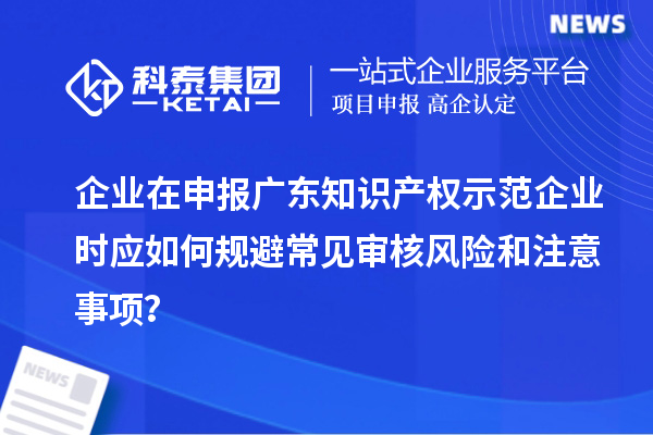 企業(yè)在申報廣東知識產(chǎn)權(quán)示范企業(yè)時應(yīng)如何規(guī)避常見審核風(fēng)險和注意事項？