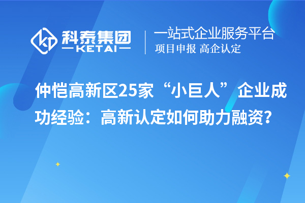 仲愷高新區(qū)25家“小巨人”企業(yè)成功經(jīng)驗：高新認定如何助力融資？