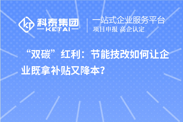 “雙碳”紅利：節(jié)能技改如何讓企業(yè)既拿補(bǔ)貼又降本？