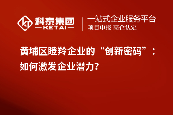 黃埔區(qū)瞪羚企業(yè)的“創(chuàng)新密碼”：如何激發(fā)企業(yè)潛力？