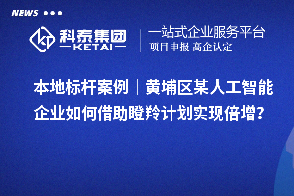 本地標(biāo)桿案例｜黃埔區(qū)某人工智能企業(yè)如何借助瞪羚計(jì)劃實(shí)現(xiàn)倍增？