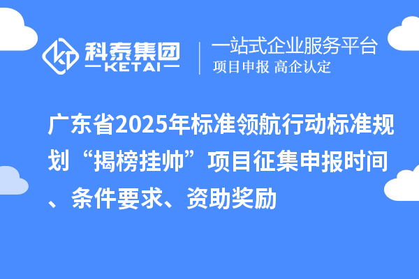 廣東省2025年標(biāo)準(zhǔn)領(lǐng)航行動(dòng)標(biāo)準(zhǔn)規(guī)劃“揭榜掛帥”項(xiàng)目征集申報(bào)時(shí)間、條件要求、資助獎(jiǎng)勵(lì)