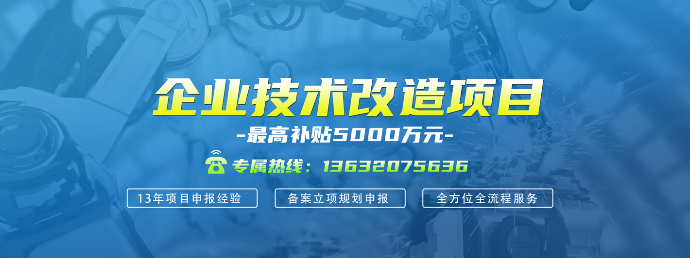 企業(yè)技術改造項目申報