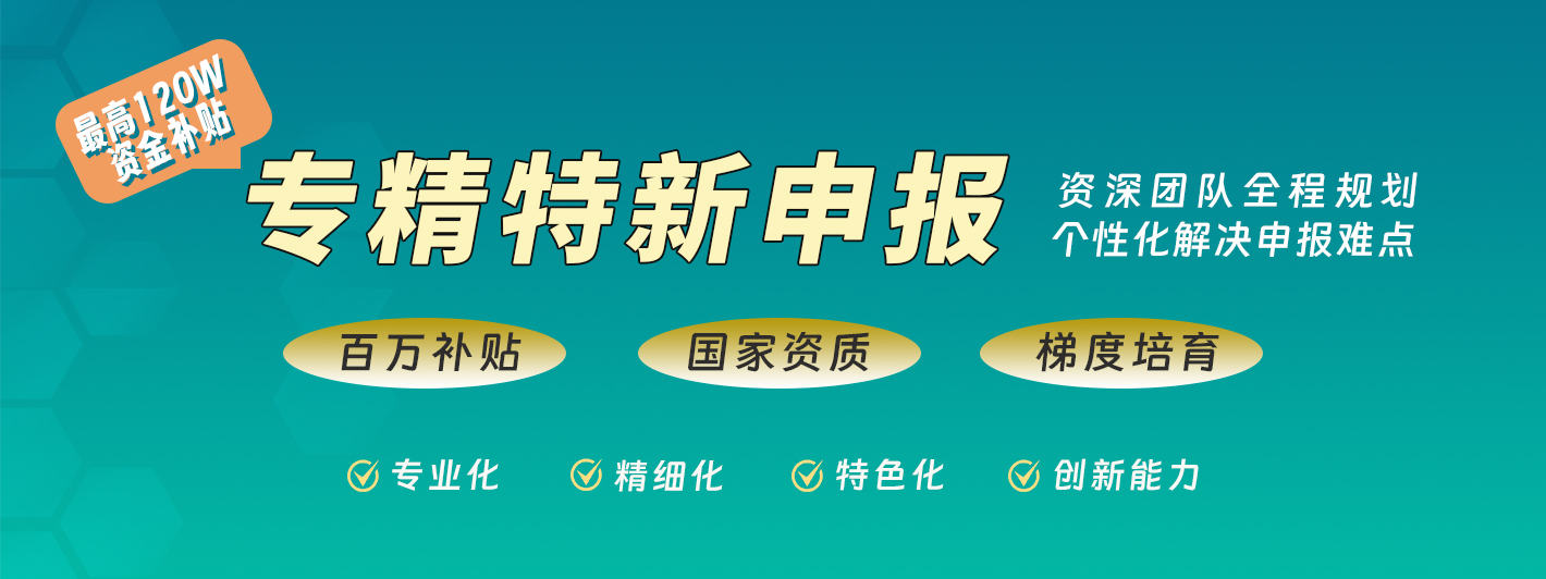 專(zhuān)精特新企業(yè)認(rèn)定